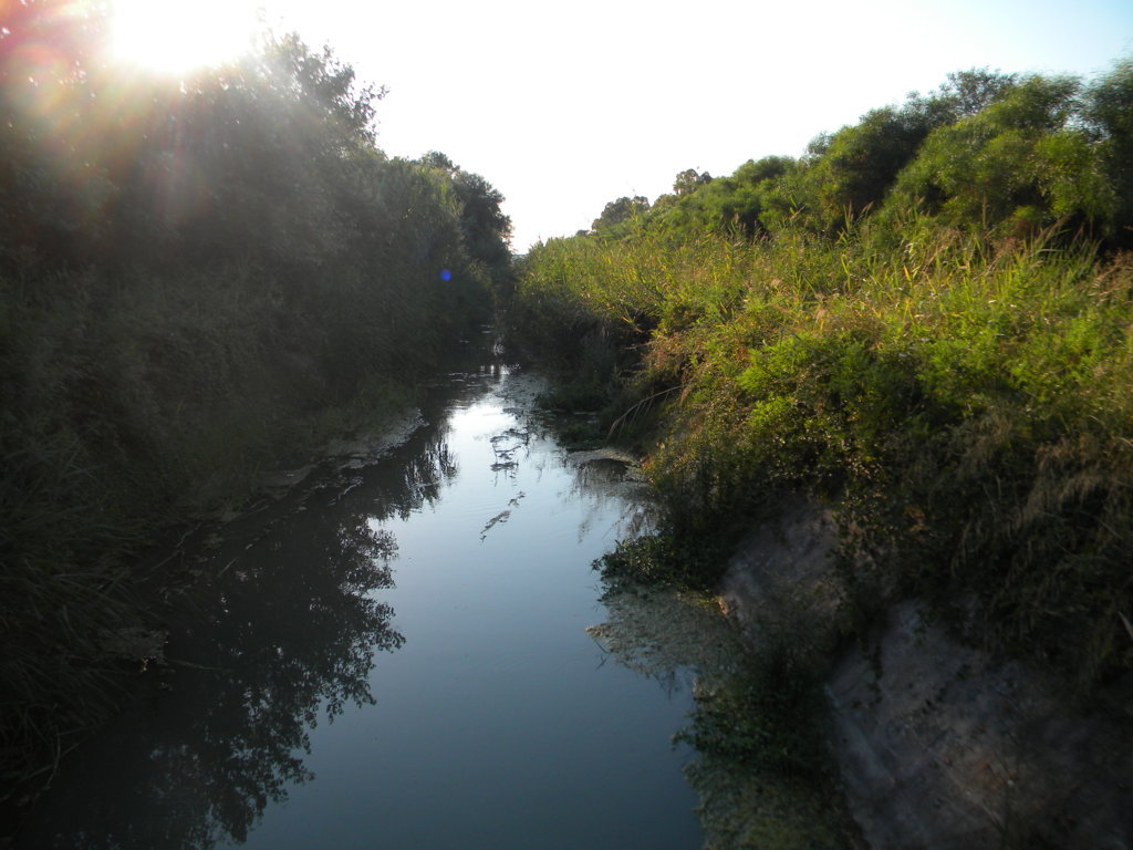 DSCN2610 .JPG